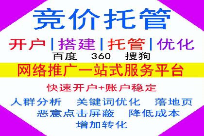 实战案例：SEM广告投放的优化策略